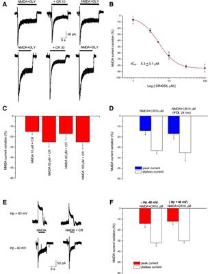 Modulation of NMDA receptor activity by CR4056, an imidazoline-2 receptor ligand with analgesic properties